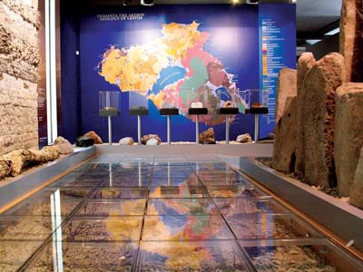 Το απολιθωμένο δάσος και οι …σεισμοί